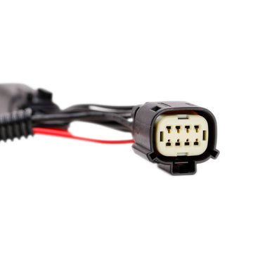 Bushranger Headlight Hi-Beam Adaptors - Brixton 4x4 - Buy Online Now!